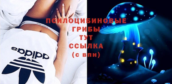 экстази Белокуриха